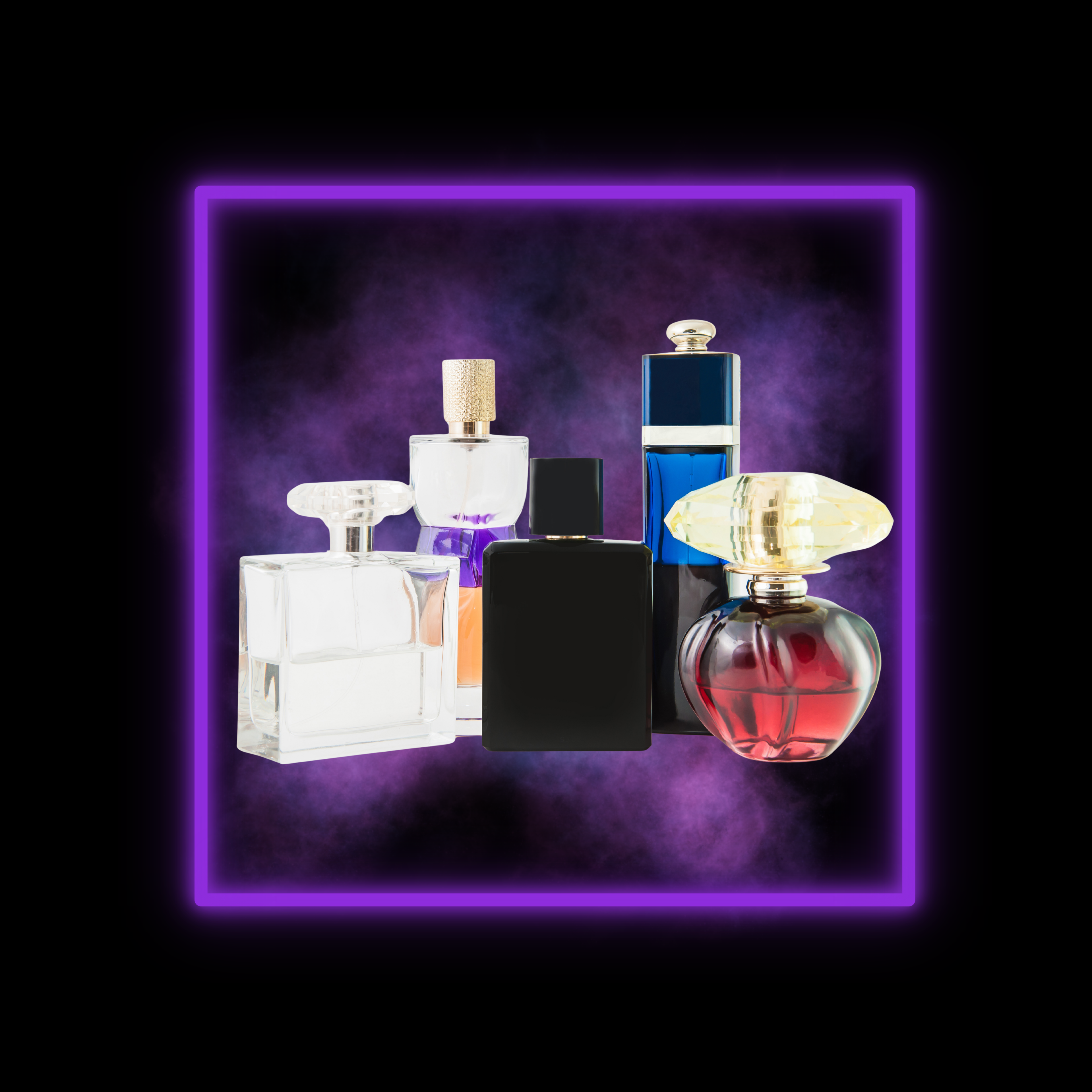Pack Proveedores Perfumes